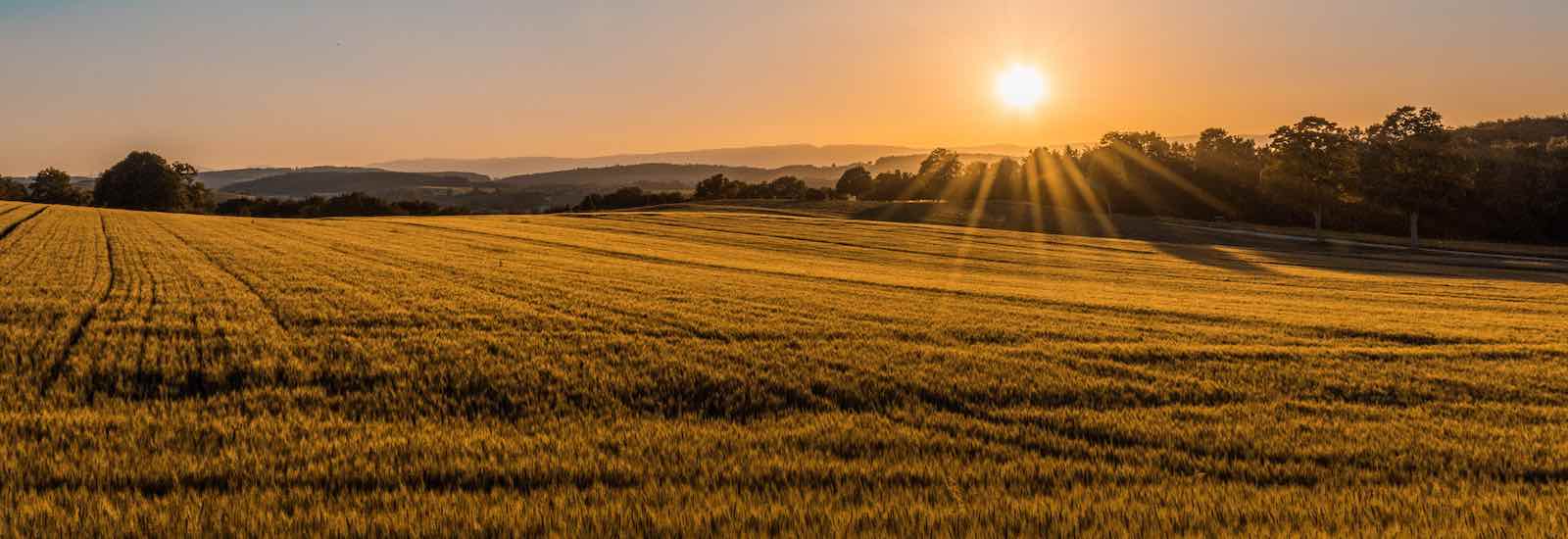 What Is a Land Trust?